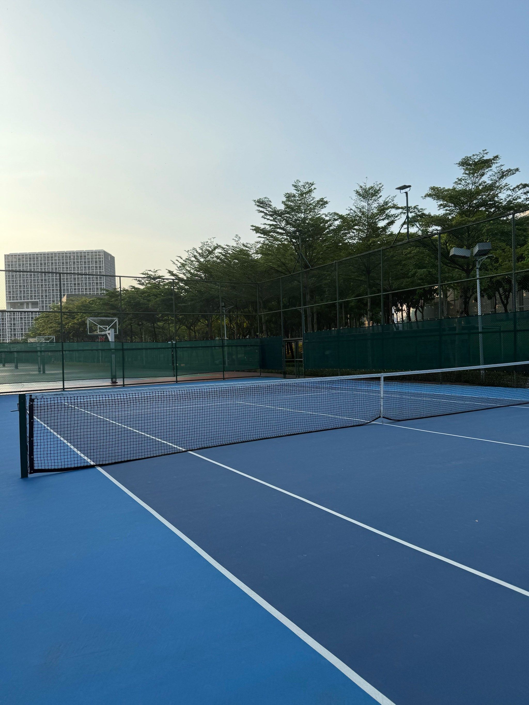 的影响以及 的影响以及