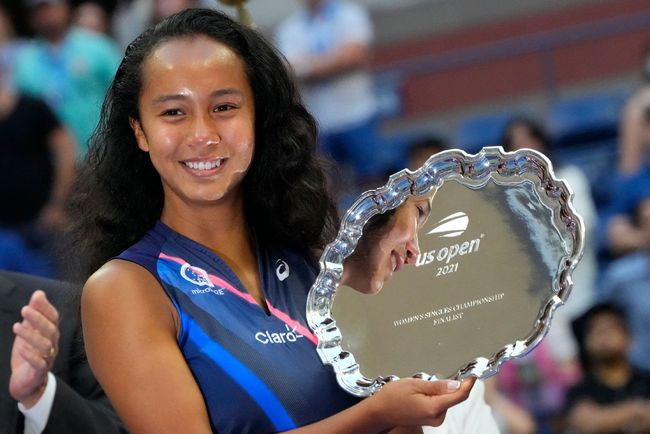 森林狼与尼 森林狼与尼